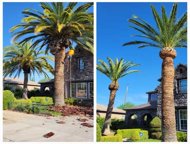 Photos by Erick's Tree Service #2