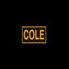 COLE USA -A Division of COLE Capital Corporation logo