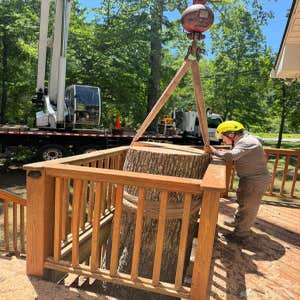 Photos by Atlanta R Tree Service and Landscaping Professional #8