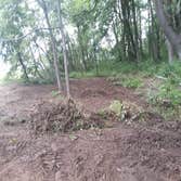 Photos by Bamaca Landscaping LLC #1