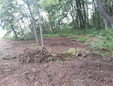 Photos by Bamaca Landscaping LLC #1