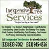 Inexpensve Tree Services Inc logo
