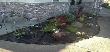 Planting