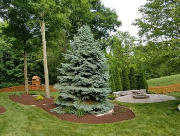 Photos by Jm Landscape and Tree Services #1