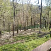 Photos by Valdez Tree Service LLC #1