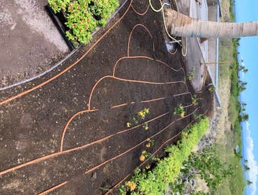 Drip Irrigation Installation