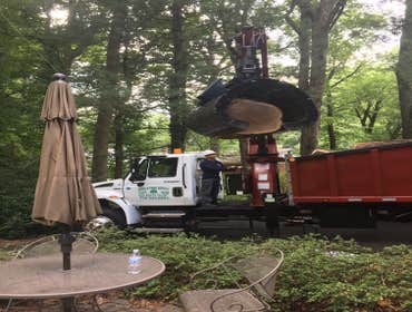 Photo(s) from Bonilla Tree Service Inc