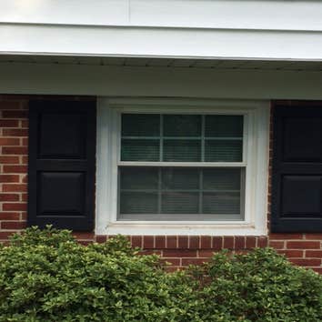 Replacement Window