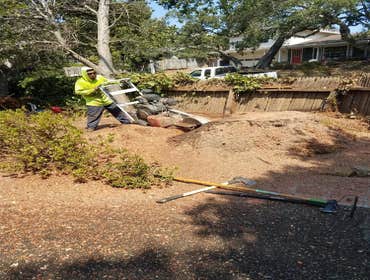Photos by Moreno Tree Service #1