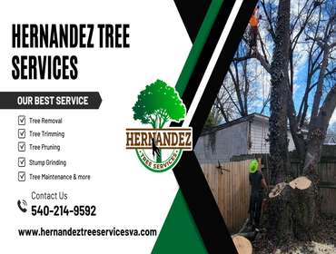 Photos by Hernandez Tree Services #28