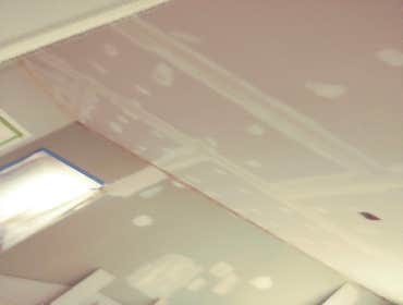 Photos by Silverback Painting Solutions #1