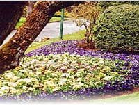 Photos by Dunn Lawn Care #1