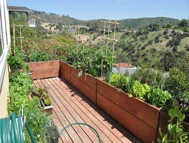Landscaping