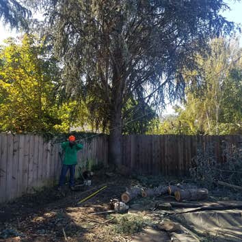 Photos by Navarro Tree Service Inc #1