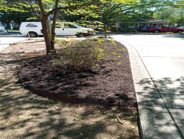 Photos by Morales Landscaping Services, LLC #20
