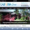 California Crews Painting & Fencing logo