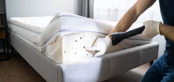 Bed Bug Specialist