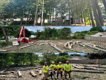Photos by ALX Tree Services LLC #1