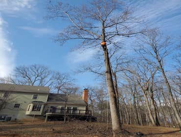 Photos by Spring Hill Landscaping Inc #5
