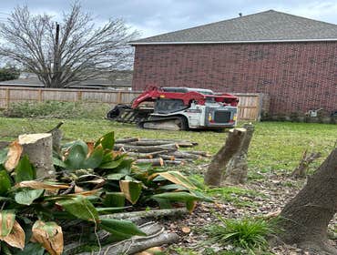 Photos by Contreras Tree Services #23