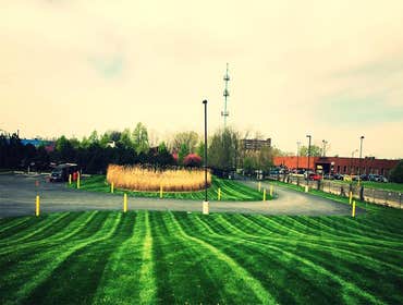 Landscape