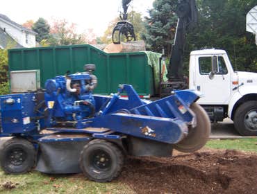 stump grinding
