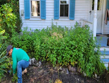 Photos by Hernandez Lawn Care & Landscaping LLC #7