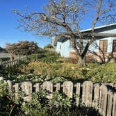 Photos by L&p Hauling Clean Up & Landscape Service #4