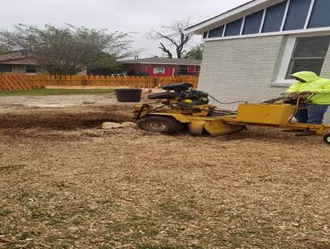 Photos by K&r Tree Service LLC #1