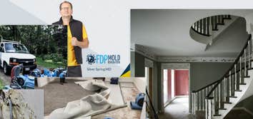 FDP Mold Remediation of Silver Spring