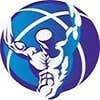 Lakeview Custom Homes LLC logo