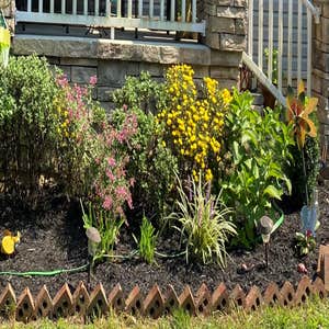 Photos by Landscape Science Lawn Care Company