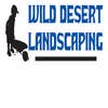 Wild Desert Landscaping Inc logo