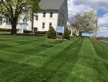 lawn stripes