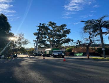 Photos by California Green Tree Care #1