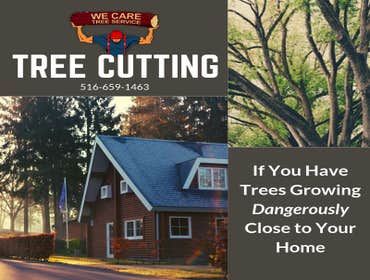 We Care Tree Services Looking for complete tree service. From tree removal to land clearing – We Care Tree Service can handle all of your tree service 
