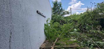 Richardson Tree Service Company