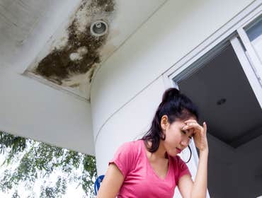 Photos by Murfrees Water Damage Co #1
