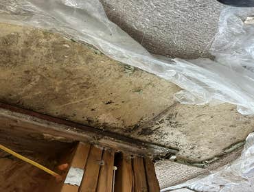 Water Mitigation This project was a roof leak the photos show initial inspection to post demo.