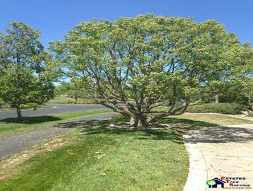 Photos by Estates Tree Service #1