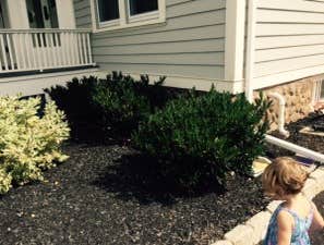 Masonry and Exterior Restoration Here is a collection of photos of projects such as landscaping, stone pathways, and patios.