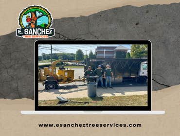 Photos by E. Sanchez Tree Services #8