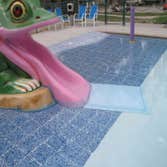 Infinity Edge swimming pool Charlottesville Infinity edge pool with colorized plaster, water feature, tanning shelf, seating benches w/ jets, beach ent