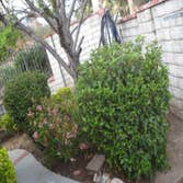 Photo(s) from J G S Irrigation & Landscape Services
