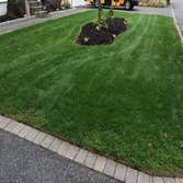 Photos from Clean Cut Services LLC
