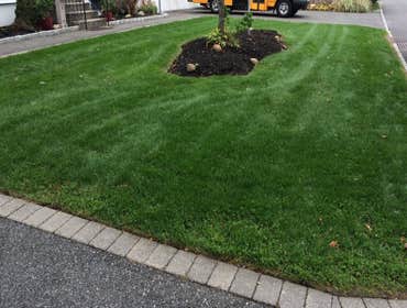 Photos from Clean Cut Services LLC