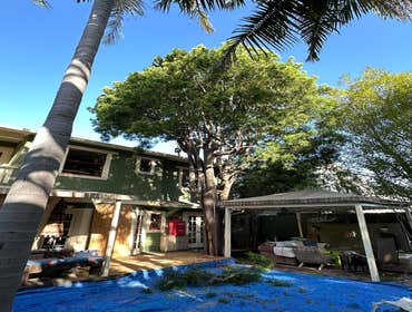 Photos by Majestic Tree Care Inc #6