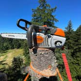 Photos by Bersch Tree Service LLC #1