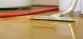 Photos by Black Mold Removal Long Island #1