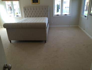 Before picture demo carpet